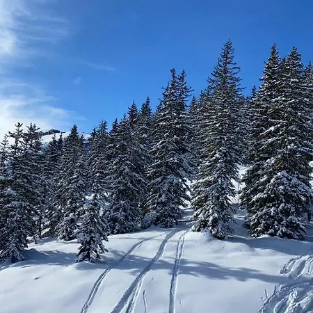 Alpinresort 1 * 卡普伦