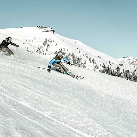 Alpinresort 1