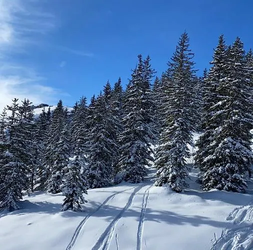 Alpinresort 1 * كابرون